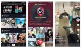 91成版人抖音直播平台,揭秘网红背后的故事与魅力”