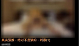 淫秽视频观看,揭秘淫秽视频观看背后的心理与伦理困境